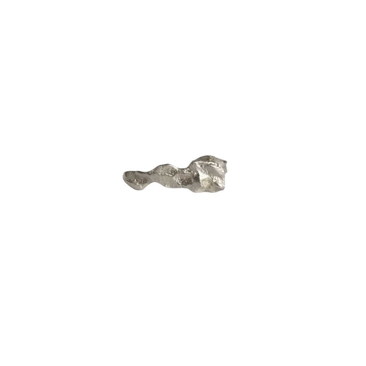 Silver earring on a white background