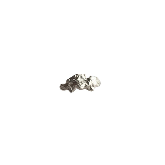 Silver earring on a white background