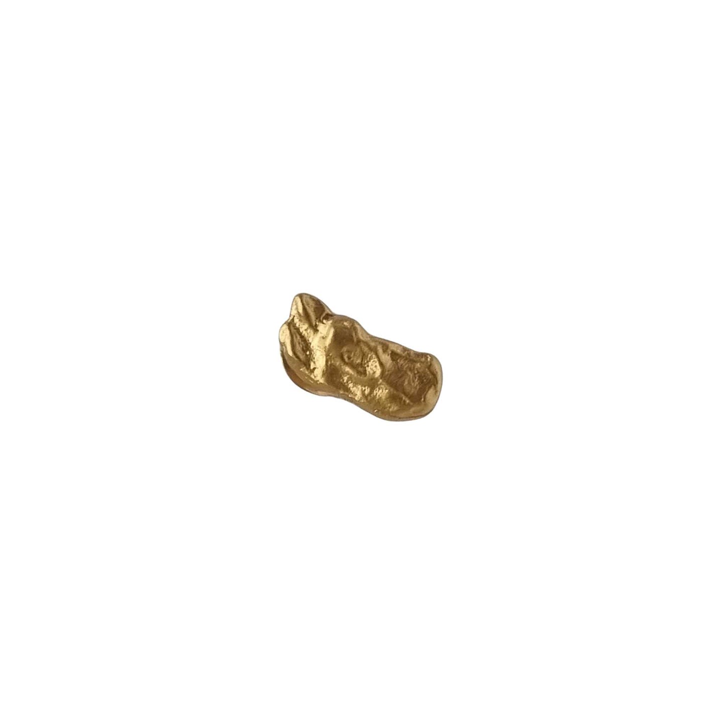 Gold earring on a white background